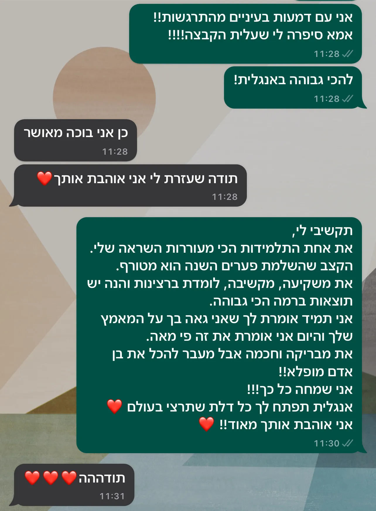 צילום מסך של הודעת המלצה מלקוח/ה (2 מתוך 13)