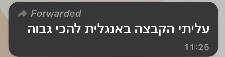 צילום מסך של הודעת המלצה מלקוח/ה (4 מתוך 13)