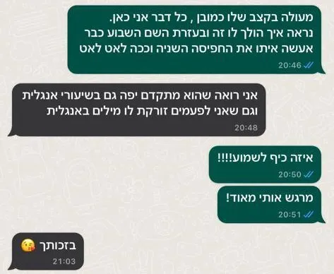צילום מסך של הודעת המלצה מלקוח/ה (8 מתוך 13)